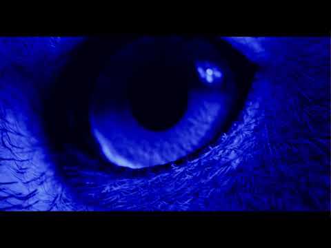 Youtube: Ben Frost - All That You Love Will Be Eviscerated (Official Video)
