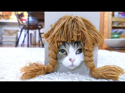 Youtube: 色々な髪形とねこ２。-Various hairstyles and Maru 2.-