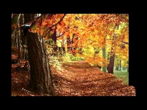 Youtube: Volkslied "Waldeslust"