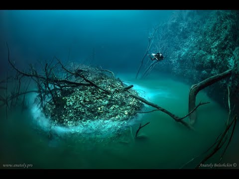 Youtube: Cenote Angelita: "Underwater River"