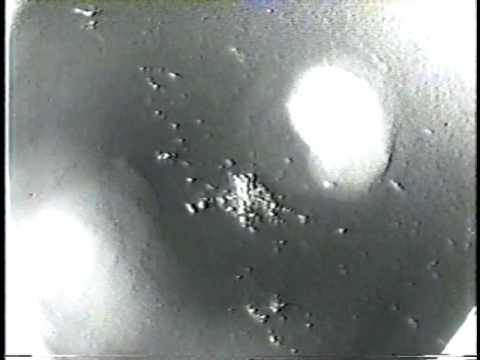 Youtube: UFOs over TEXAS on NASA TV: Uncut