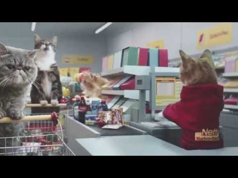 Youtube: Netto-Katzen