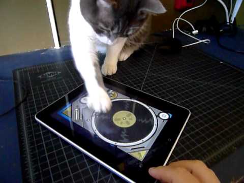 Youtube: iggy scratches the ipad