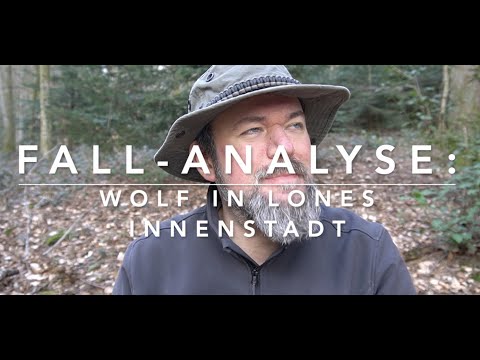 Youtube: Wolf in Lohne - Bens Meinung