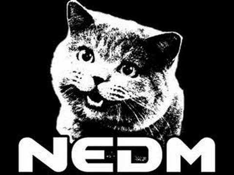 Youtube: NEDM song