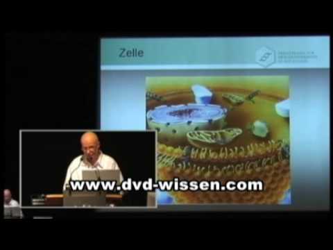 Youtube: Dr. Braun: Biologische Probleme und Intoxikationen ...