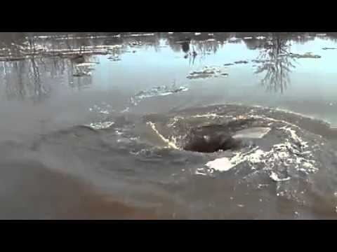 Youtube: 12* Schwarzes Loch im Teich