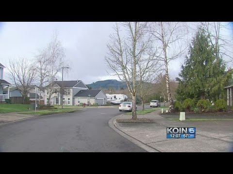 Youtube: Mysterious Forest Grove noise puzzles neighbors
