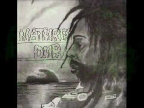 Youtube: Bullwackie Allstars - Natures Dub -