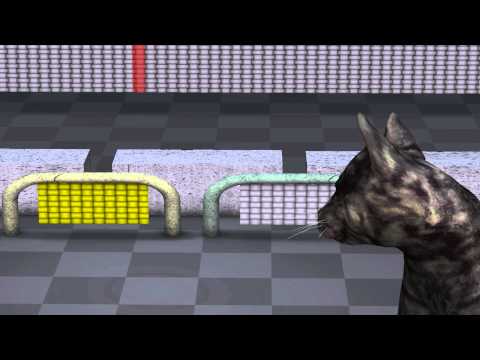 Youtube: Quantum Mechanics:  Animation explaining quantum physics