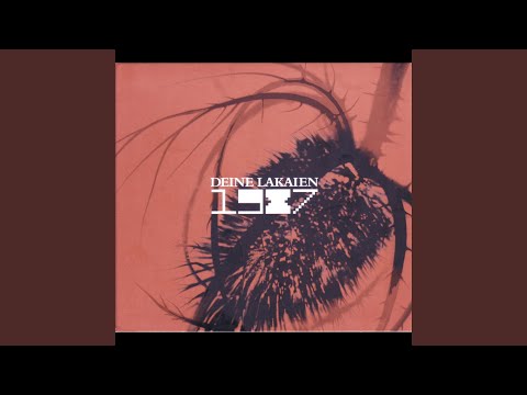 Youtube: Reincarnation