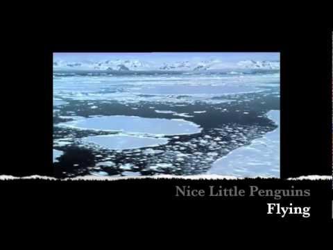 Youtube: Nice Little Penguins - Flying