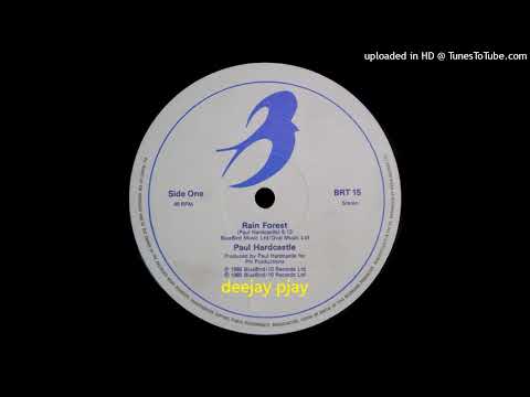 Youtube: Paul Hardcastle - Rain Forest