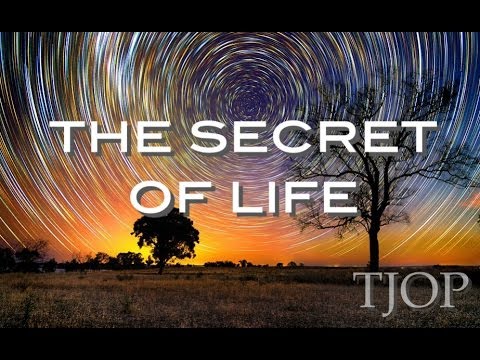 Youtube: The Secret of Life - Alan Watts