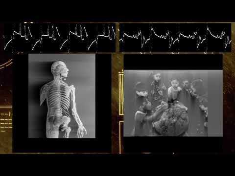 Youtube: First Ever Decode of Voyager Audio Images, in Real Time.