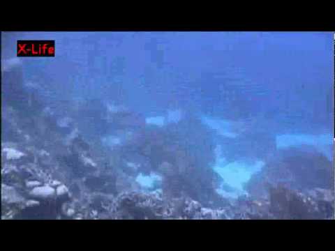 Youtube: Amazing USO footage in Bermuda Islands.flv