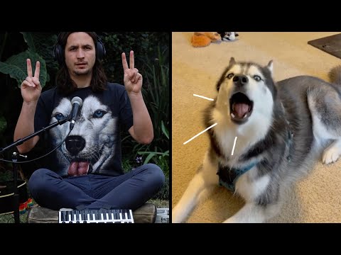 Youtube: The Kiffness X Haiku The Husky - Ancient Husky Melody