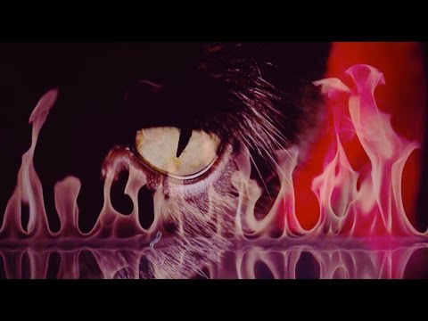 Youtube: JOHNNY JEWEL "WINDSWEPT" (Official Video)