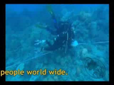 Youtube: Reef Check Australia: The Reef Needs You.....Tube