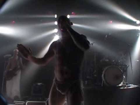 Youtube: KNORKATOR - Ding inne Schnauze (live)