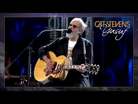 Youtube: Yusuf / Cat Stevens - Father and Son (Viña Del Mar Festival, Chile 2015)