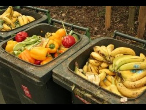 Youtube: Containern, dumpstern. Taste the waste - oder was?