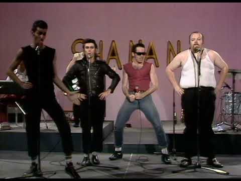 Youtube: Sha Na Na - I Wonder Why (1973)