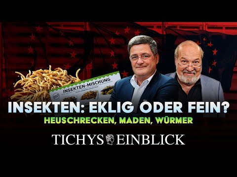 Youtube: Insekten: Ekelessen oder Feinkost? - Tichys Einblick Talk