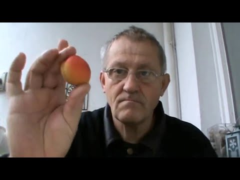 Youtube: Mario Heinz Kiesel - Die Pfirsich-Verschwörung der BRD GmbH
