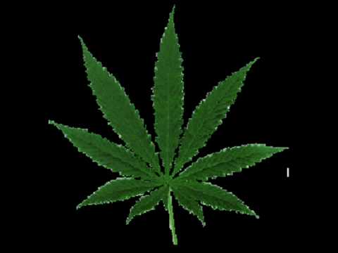 Youtube: ska-p cannabis