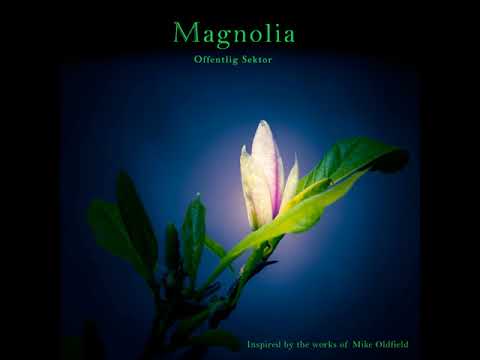 Youtube: Magnolia - music inspired by the works of Mike Oldfield