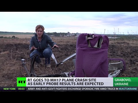 Youtube: Back to MH17 crash site: Parts still there, early probe results soon