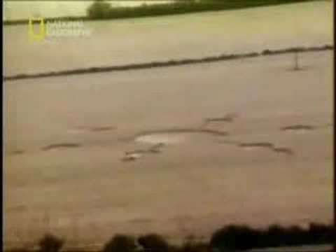Youtube: Olivers Castle Crop Circle Hoax (Is It Real)