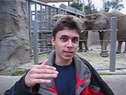 Youtube: Me at the zoo