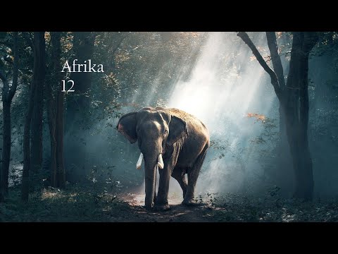 Youtube: TommyG-Afrika 12