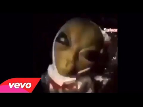 Youtube: Drunk Alien Song | Patlamaya Devam (Official video)