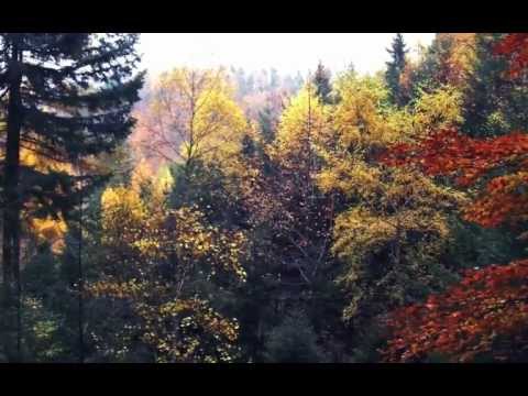 Youtube: Klaviermusik - Sad Piano Vol.1 - Meditationsmusik -  Novembermelodie
