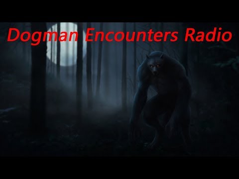 Youtube: Dogman Encounters Episode 255 (The Dogman was Less Than 2 Feet Away From me!)