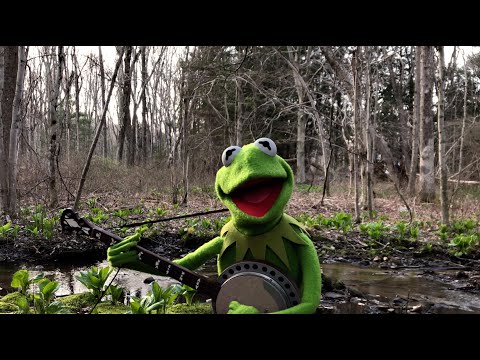 Youtube: A Special Performance of "Rainbow Connection" from Kermit the Frog | The Muppets