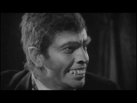 Youtube: Warren Zevon - Werewolves Of London (1978)