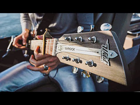 Youtube: Every Gull's crazy 'bout a SHARK-dressed Man 🦈💃🎸 (aka ZZ Top's Sharp Dressed Man)