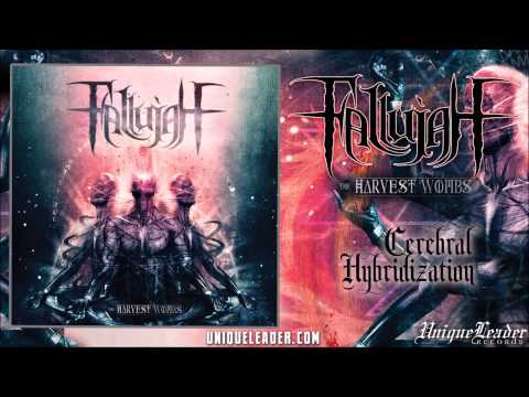 Youtube: Fallujah-Cerebral Hybridization