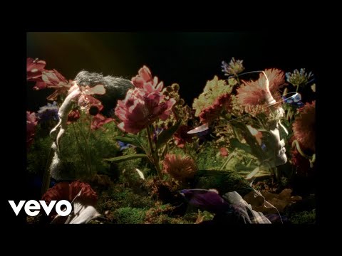 Youtube: Nathaniel Rateliff, Gregory Alan Isakov - Flowers