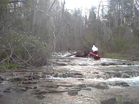 Youtube: BEAST OF GUM HILL Woodbooger  (Bigfoot video)