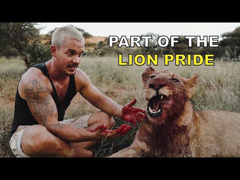 Youtube: Part of the Lion Pride - Dean Schneider living with lions