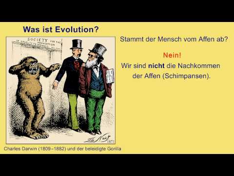 Youtube: Video 1 - Was ist Evolution? [Tatsache Evolution - Was Darwin nicht wissen konnte]