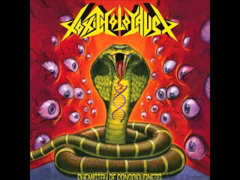 Youtube: Toxic Holocaust - Salvation is Waiting