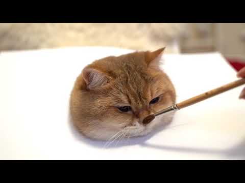 Youtube: Today is master-class: how to paint a cat