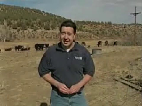 Youtube: UFO Cattle Mutilation In Colorado Mar 11, 2009 #alien