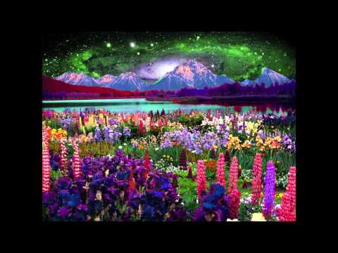 Youtube: Bassnectar - Infinite [OFFICIAL]